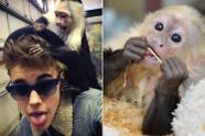 Exposed 9 Celebs Who Have Mistreated Animals