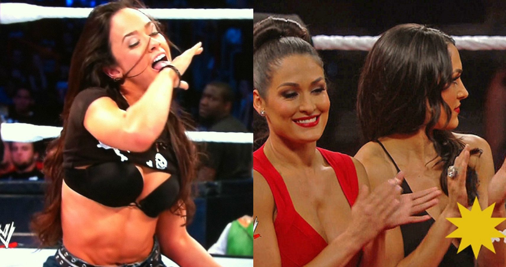 1714px x 904px - 10 Outrageous WWE Diva Wardrobe Malfunctions | TheRichest