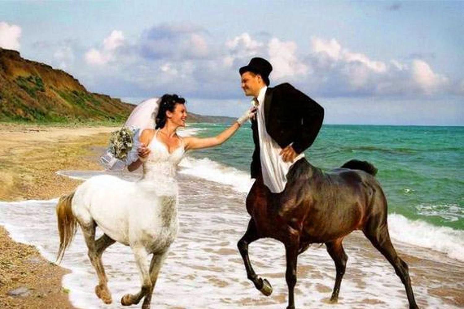 http://www.laughspark.info/uploadfiles/bad-funny-russian-wedding-phot-5412.jpg