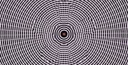 15 Crazy Optical Illusions You Have To See To Believe