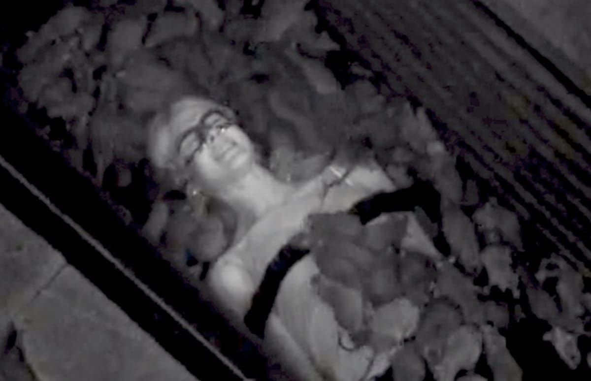 15 "Close Calls" That Almost Happened On Fear Factor