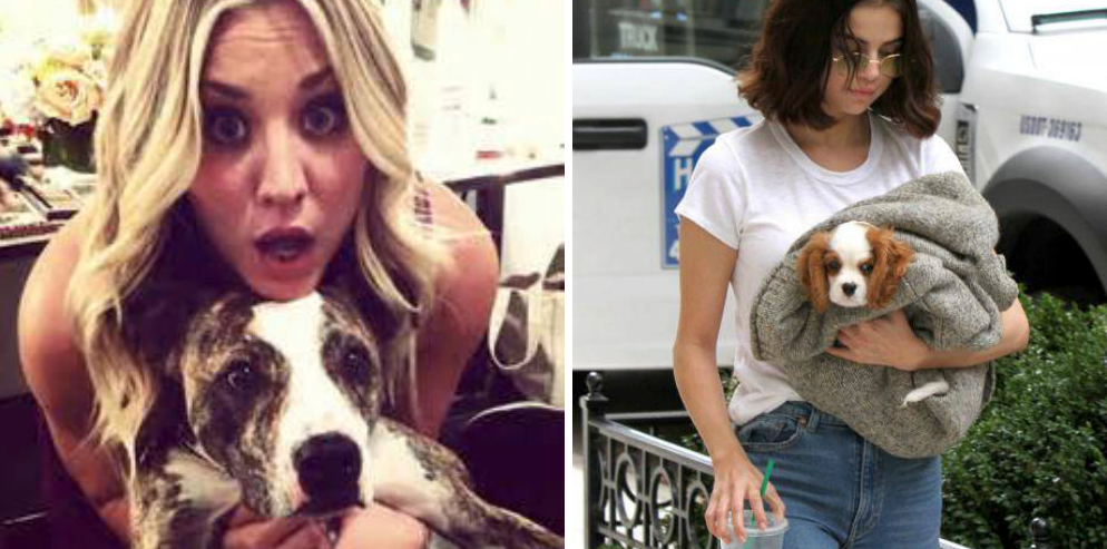 3 Pics Of Kaley Cuoco (And 12 Other Celebs) Who Love Dogs More Than Humans