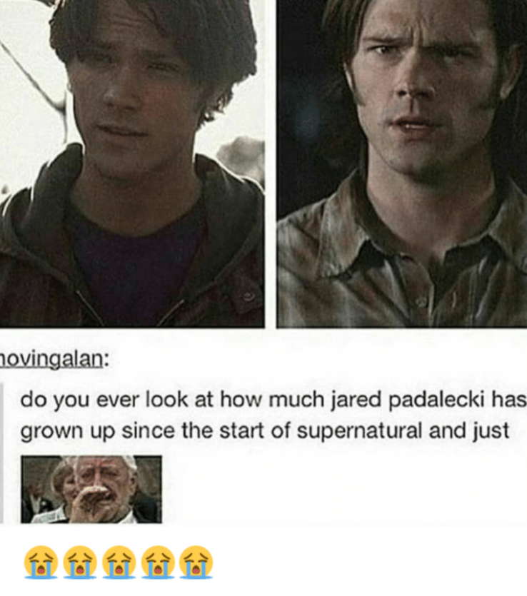 10 Most Memeable Photos Of Jared Padalecki Therichest