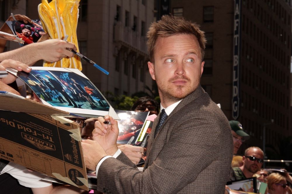 A Picture Of Aaron Paul