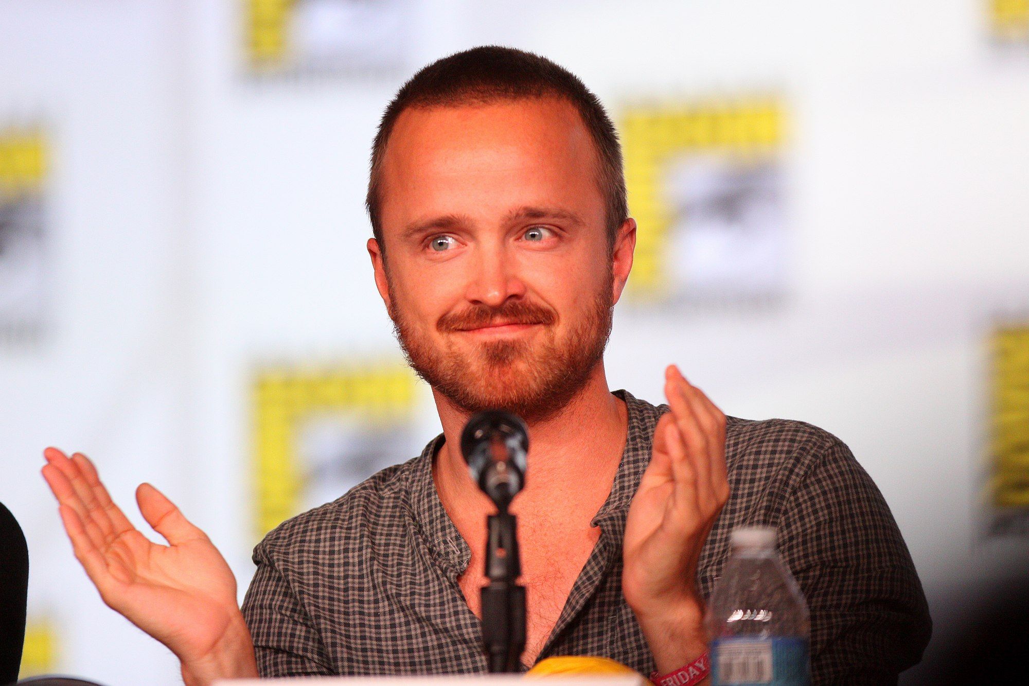 A Picture Of Aaron Paul 