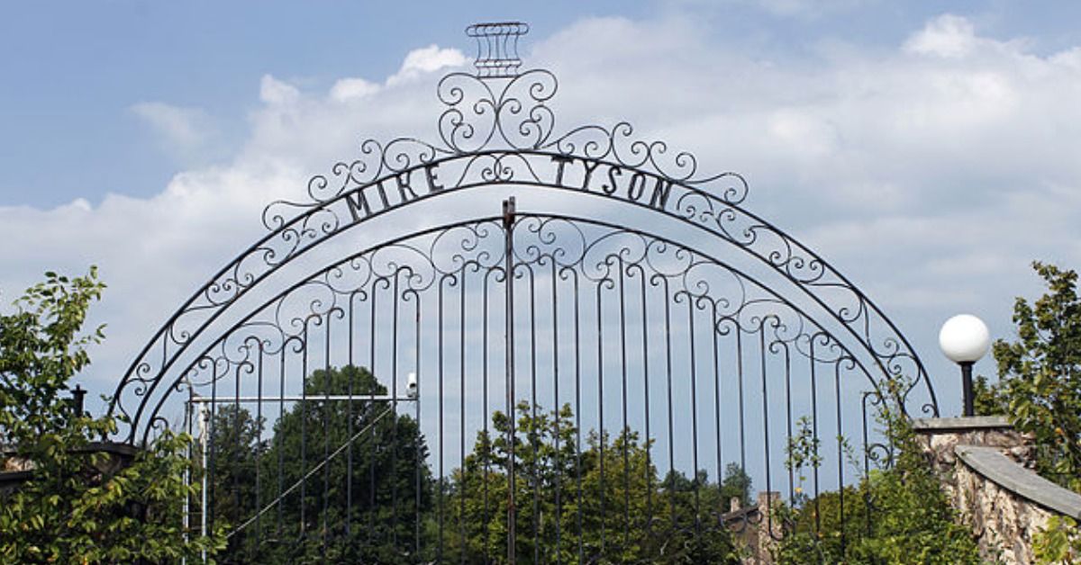 Mike Tyson's Net Worth: From Boxing To Hotboxing