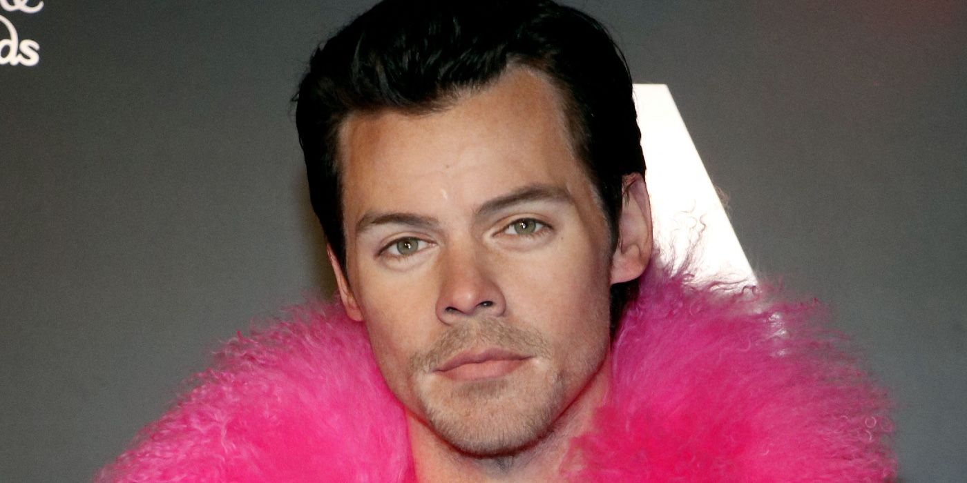 Harry Styles Approved To Build $32 Million Eco-Friendly Mansion 